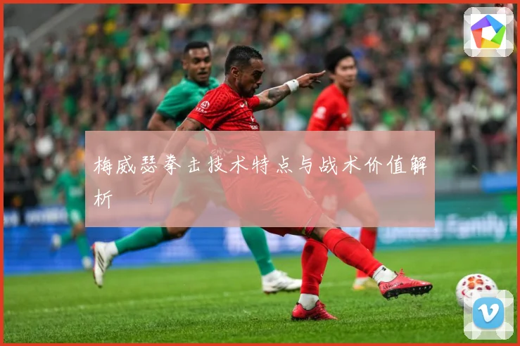 梅威瑟拳击技术特点与战术价值解析