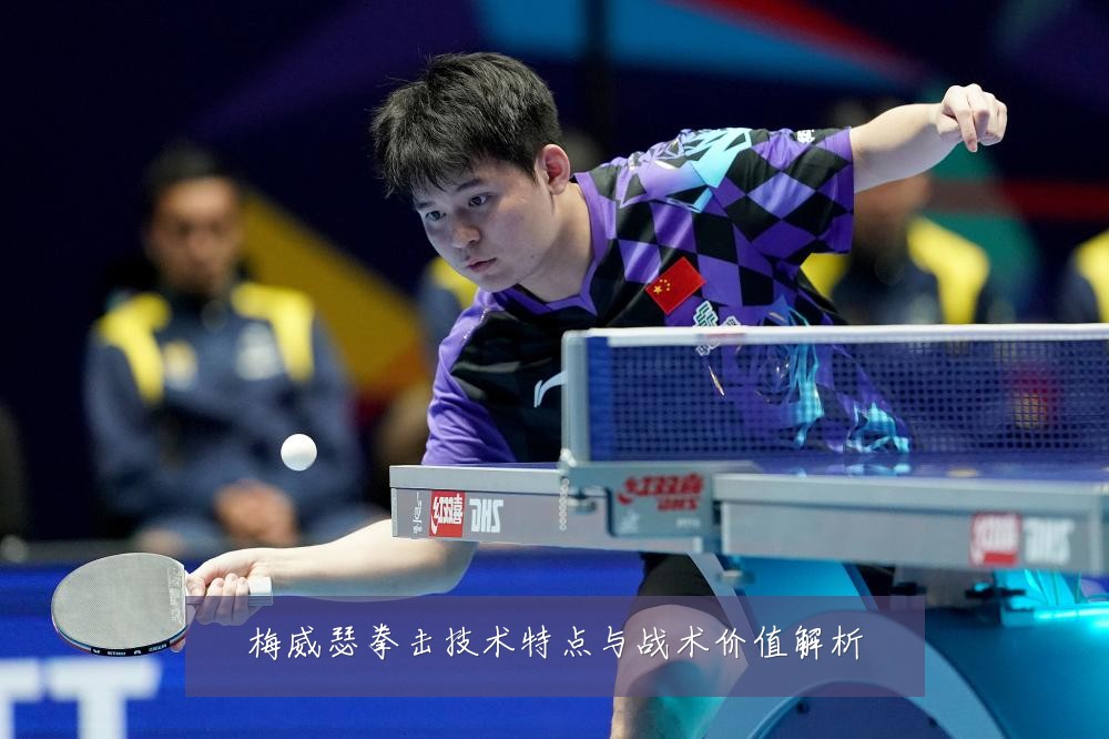 梅威瑟拳击技术特点与战术价值解析